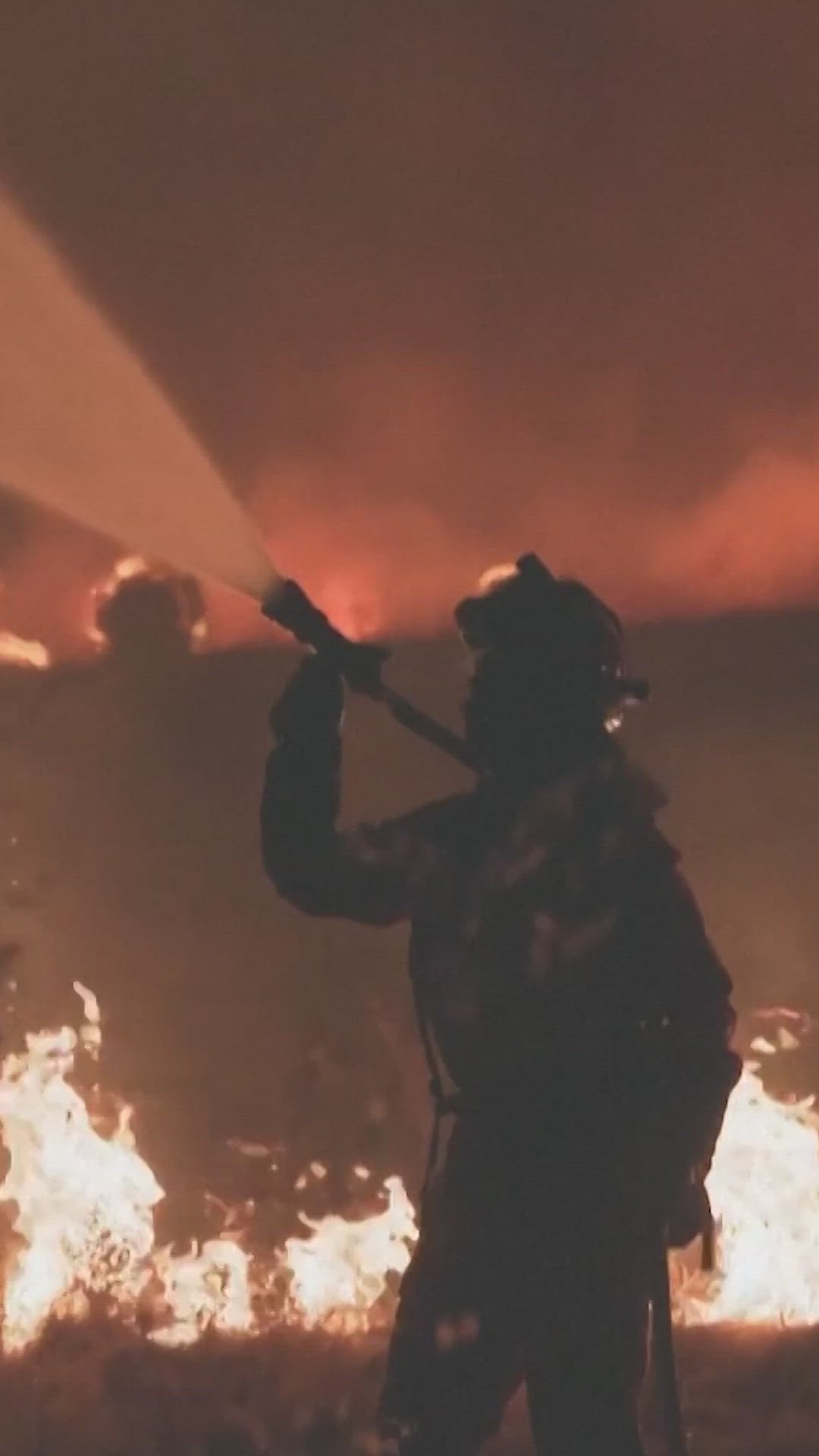 Los incendios en Zamora y León obligan al desalojo de vecinos