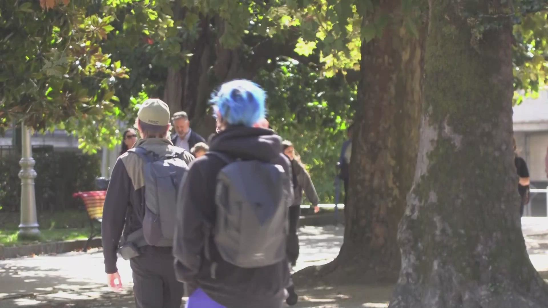 'Veranillo de San Miguel': comienzo del otoño con altas temperaturas