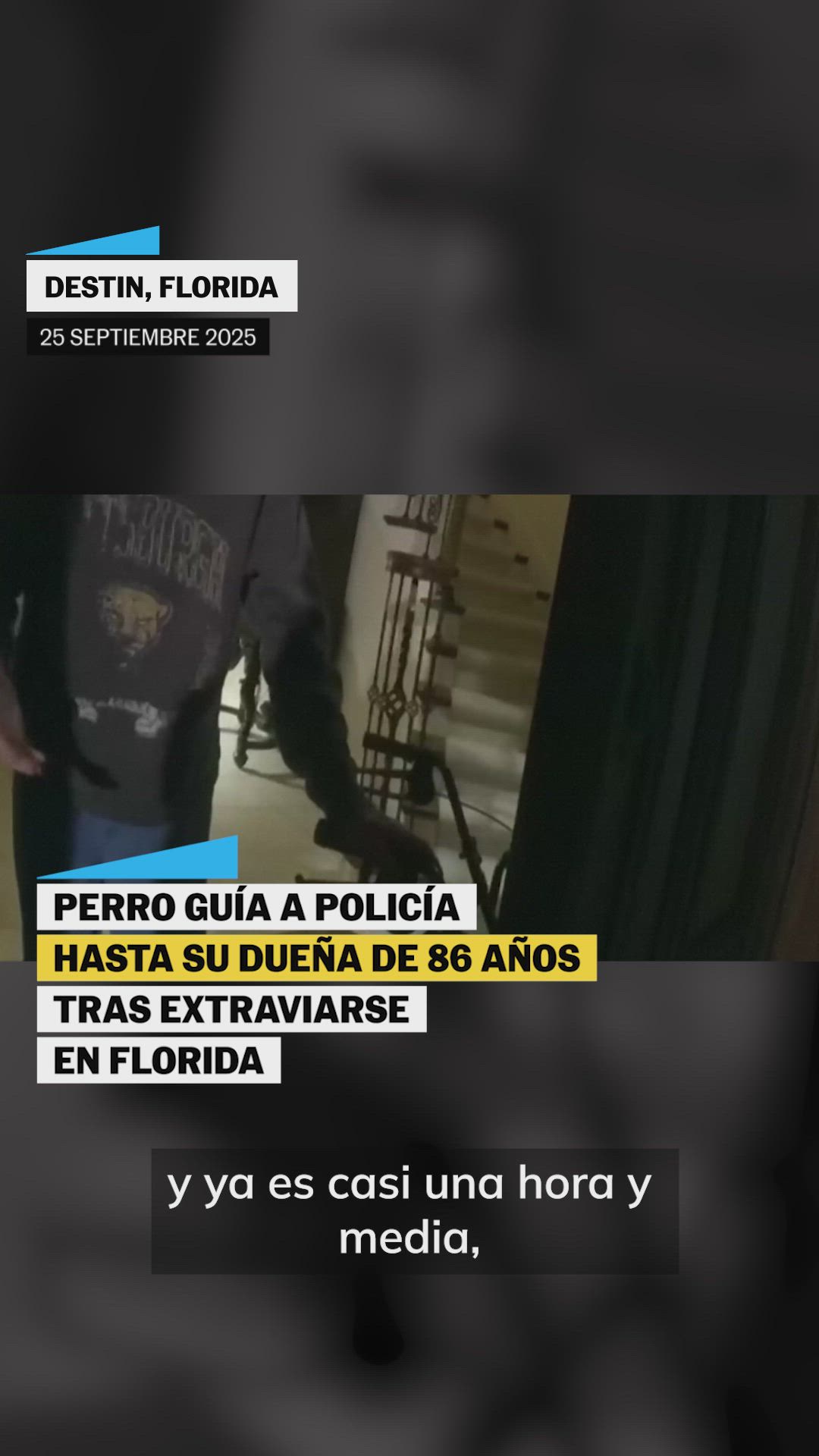 Perro ayuda a la policía a encontrar a su dueña anciana herida