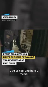 Perro ayuda a la policía a encontrar a su dueña anciana herida