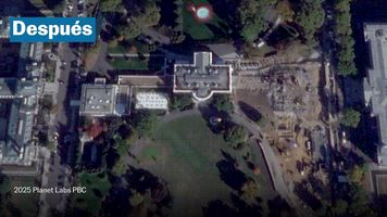 NO USAR_Trump completa el derribo del ala este