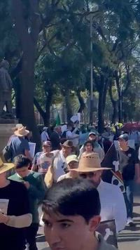 Marcha de la generación Z