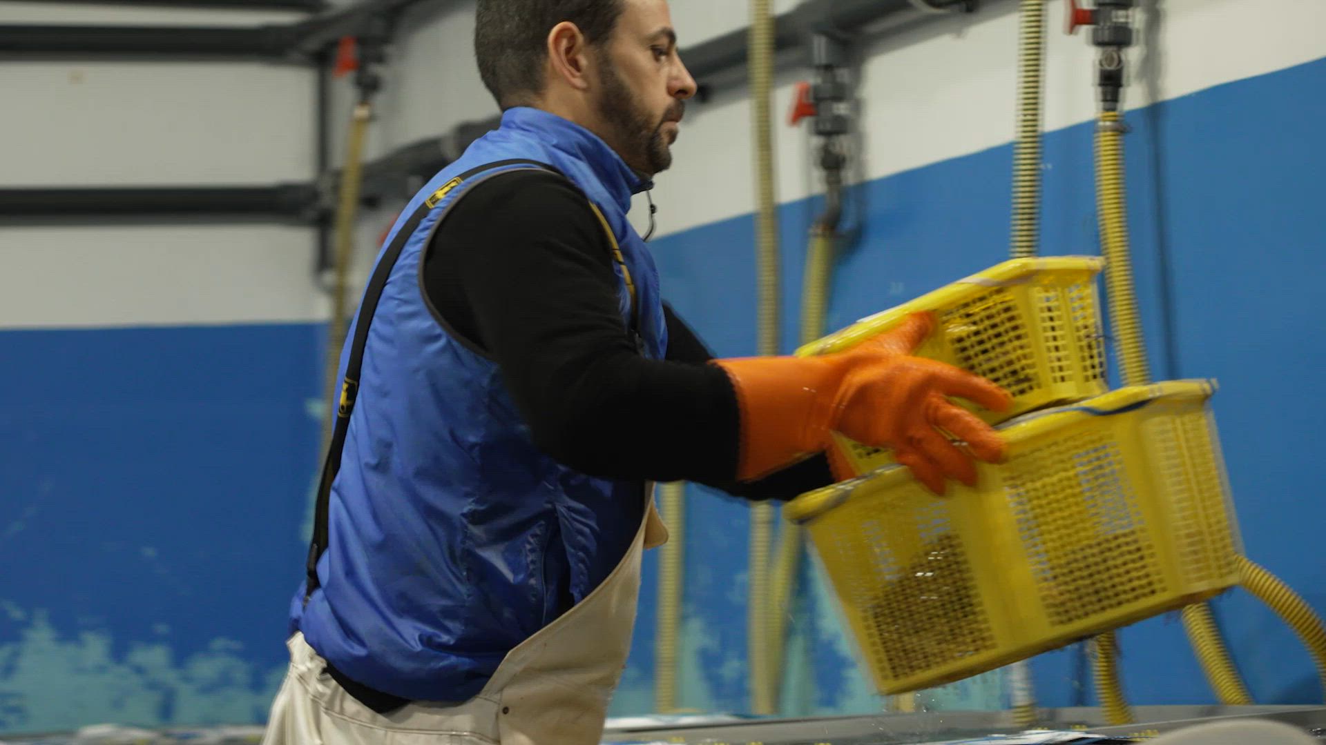 Cómo es Mercamadrid en Navidad