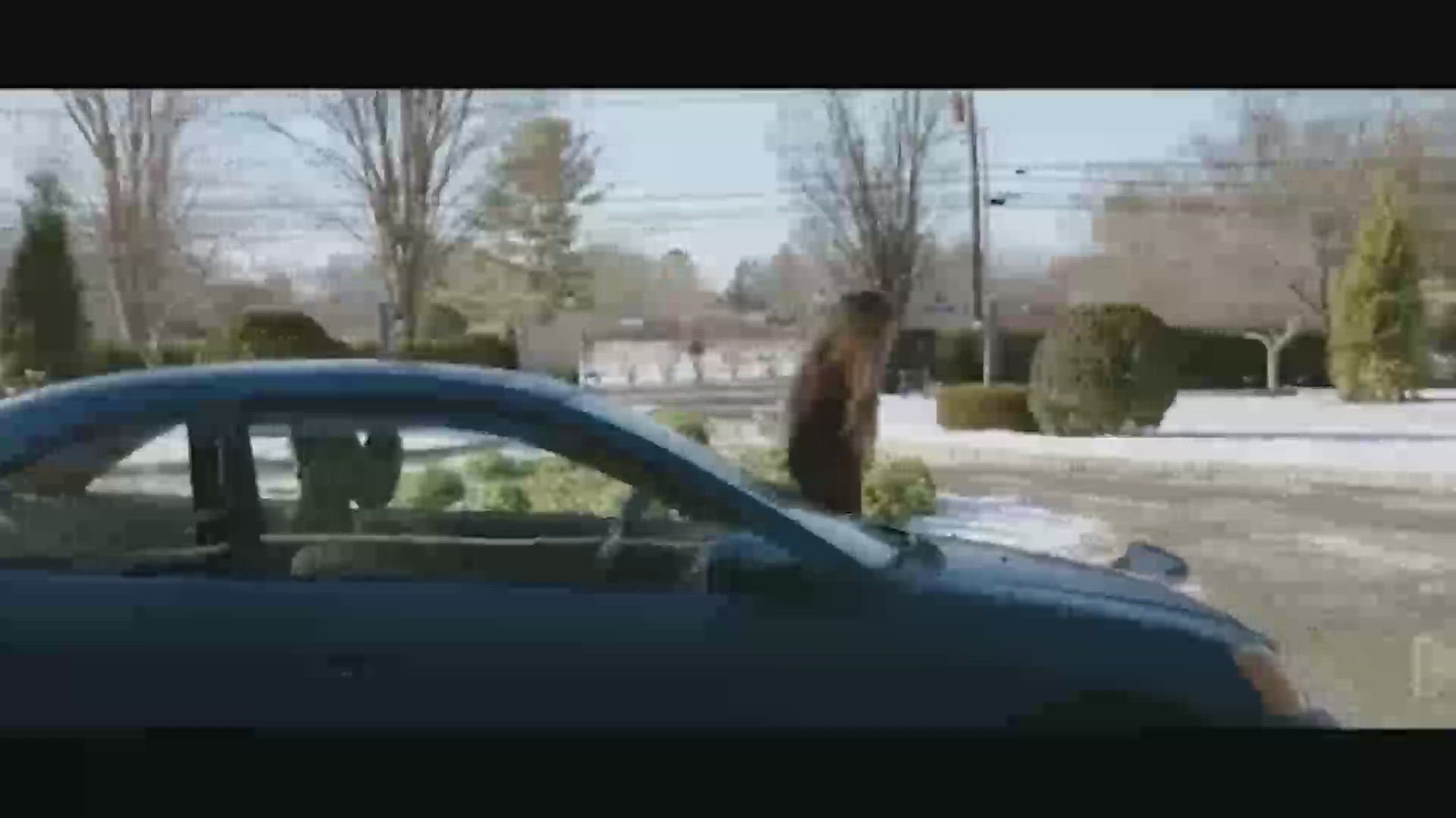 Trailer 'La asistenta'