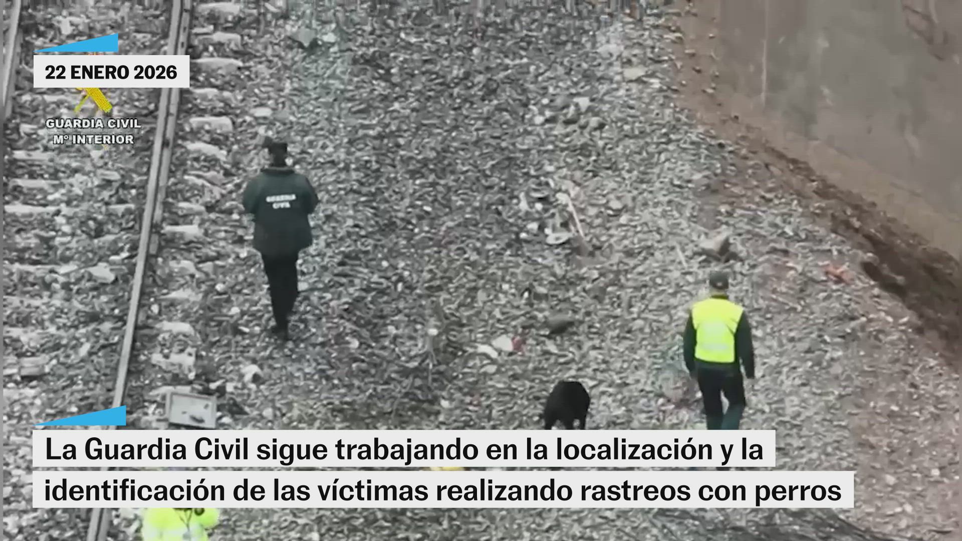 La Guardia Civil sigue trabajando en la localización y la identificación de las víctimas realizando rastreos con perros