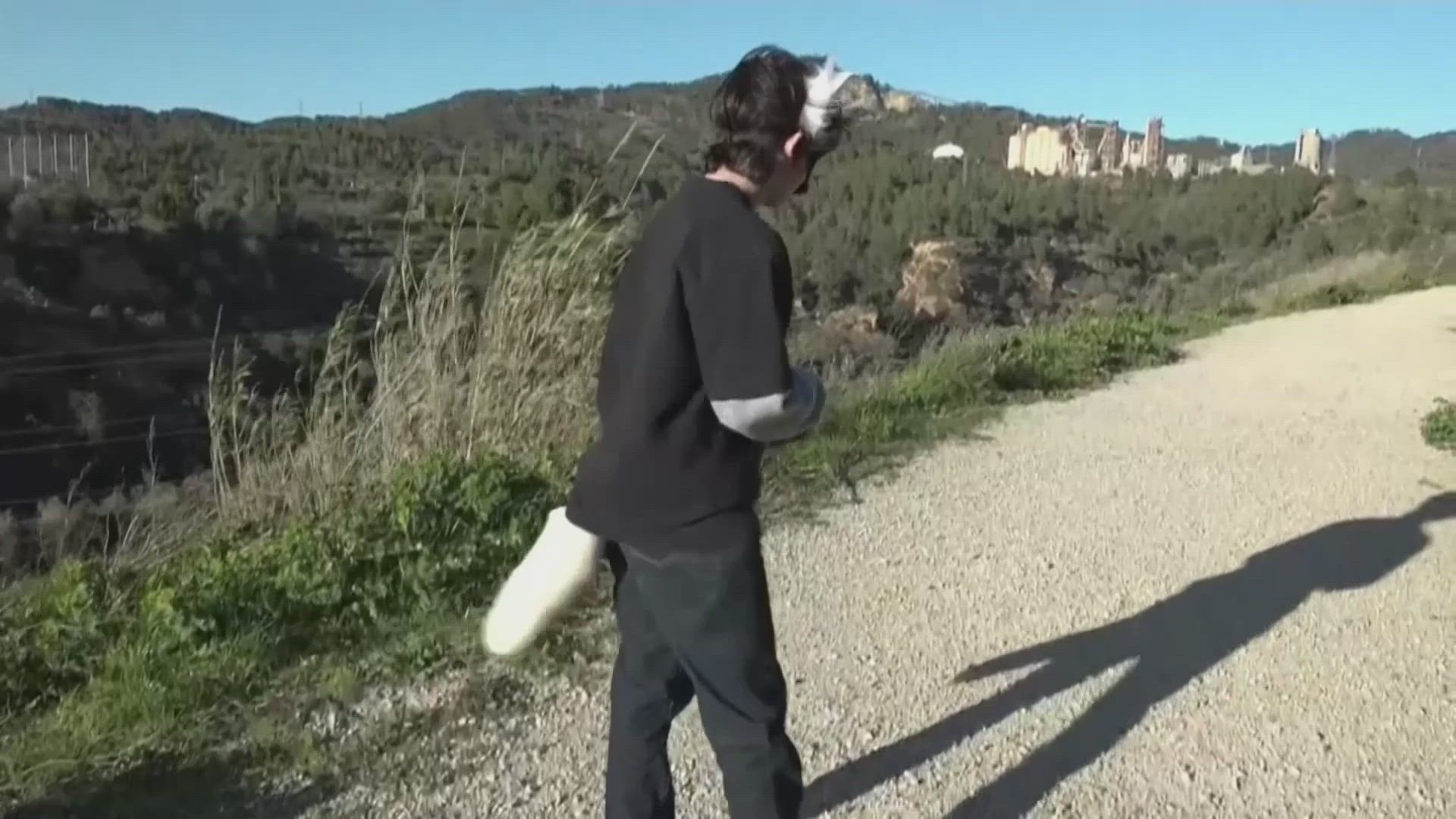 ¿Qué son los 'therian'?